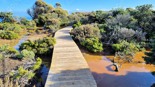 Foto Boardwalk on the Cape Raoul Track on the headland over cliffs