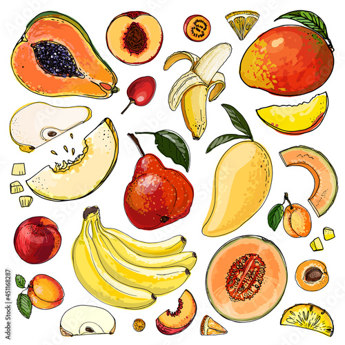 Fruits food vector. Color sketch of products. Decor for kitchen and restaurant. Farm fruits and berries.