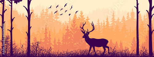 Horizontal banner. Silhouette of deer standing on meadow in forrest. Silhouette of animal  trees  grass. Magical misty landscape  fog. Orange  black and pink illustration. Bookmark.