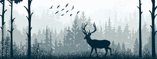 Horizontal banner. Silhouette of deer standing on meadow in forrest. Silhouette of animal, trees, grass. Magical misty landscape, fog. Blue and gray illustration. Bookmark. photo