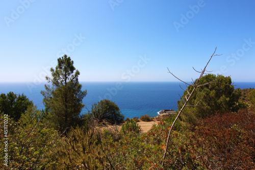 Si intravede il mare, tra i pini marittimi e la macchia mediterranea di un promontorio roccioso, in piena estate photo