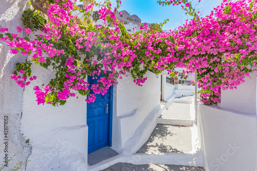 Love, romance scenic. Amazing cityscape, luxury travel vacation. Oia town on Santorini island, Greece. Traditional stairs and famous white houses blue door with pink flowers over Caldera, Aegean sea
