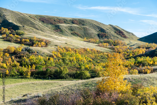 Fall colours in rural Saskatchewan, Canada photo