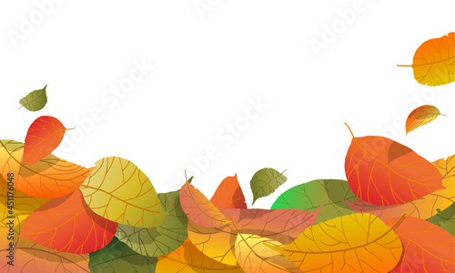 Autumn background with gradient tree leaves on white background. Autumn fallen tree leaves. Harvesting. Vector