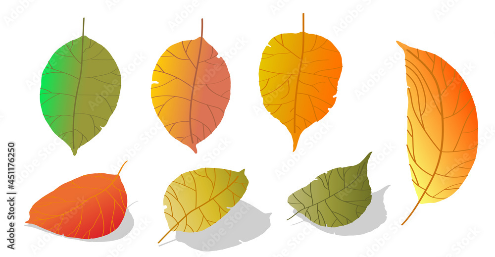 Obraz premium doodle gradient apple tree leaves isolated on white background. Autumn fallen leaves of apple tree. Harvesting. Vector
