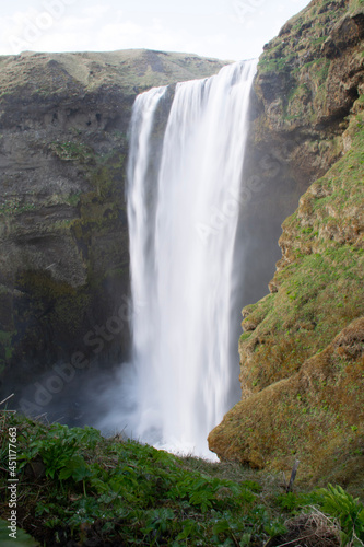 waterfall in the forest