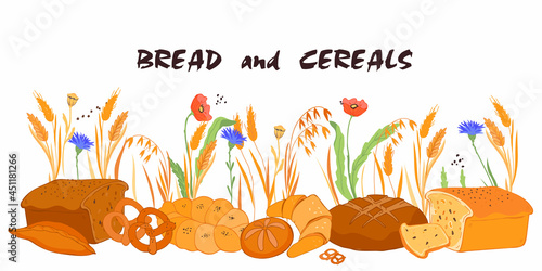 Hand drawn bread and cereals background. Bakery production against backdrop with natural wheat and oat cereals ears and field flowers, flat vector isolated on white.