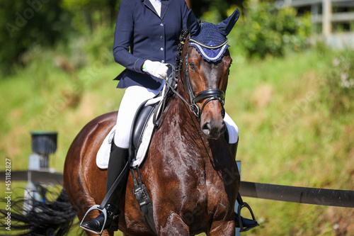 Horse dressage dressage horse with rider in portrait from the front during a gallop..