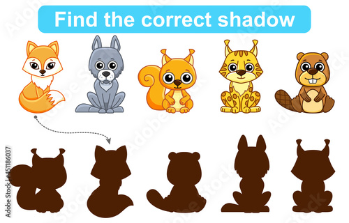 Find correct shadow. Kids educational game. Set of Forest and Zoo Animals to find the correct shadow. Simple gaming level for preschool kids