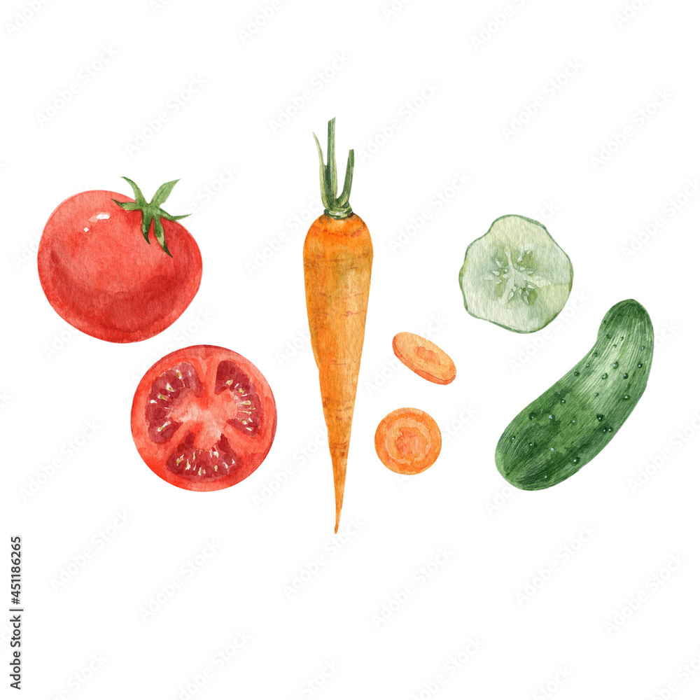 custom made wallpaper toronto digitalSet of various vegetables painted in watercolor. Tomato, carrot, cucumber. Hand-drawn illustration on a white background.