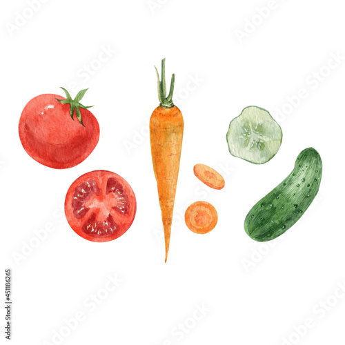 Wallpaper Mural Set of various vegetables painted in watercolor. Tomato, carrot, cucumber. Hand-drawn illustration on a white background. Torontodigital.ca