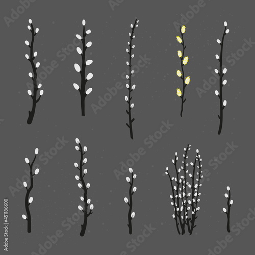 Collection of pussy willow branches.