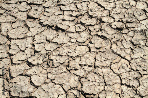 Dry earth covered with deep cracks