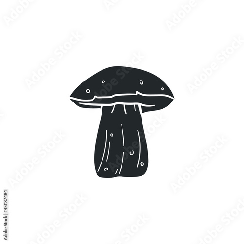 Boletus Satanas Icon Silhouette Illustration. Toxic Mushroom Vector Graphic Pictogram Symbol Clip Art. Doodle Sketch Black Sign. photo