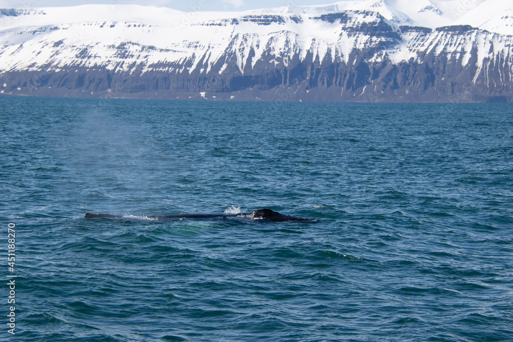 Fototapeta premium ski jump