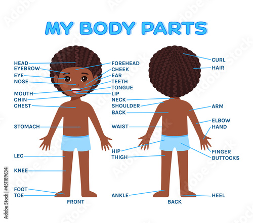 Afro Boy and Parts of My Body with English Words. Front Back View. Poster for a Biology, Anatomy Lesson to Print. Illustration for Studying with Children. Flat Cartoon style. White background. Vector