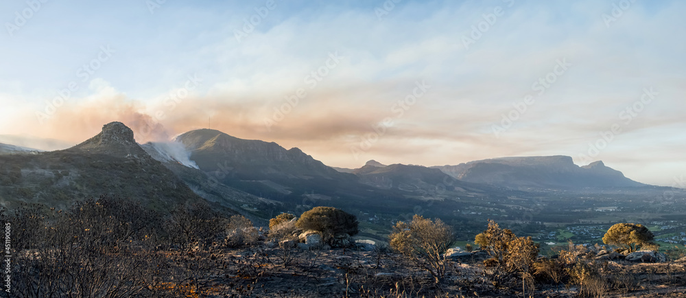 Obraz premium Cape Wildfire