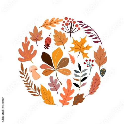 Autumn round composition with different leaves and plants, isolated