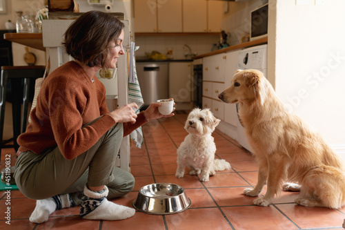 Fotografie Smiling caucasian woman in kitchen feeding pet dogs