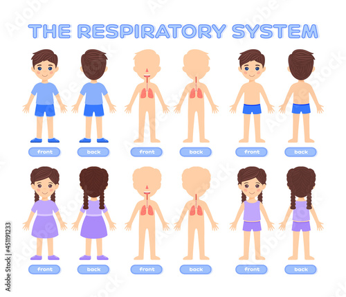 Human Respiratory System in a Cartoon Style. Little Boy and Girl in Underwear, Clothes. Silhouette of a Child and lungs. Front Back View. Set. Illustration for a Lesson in Biology and Anatomy. Vector
