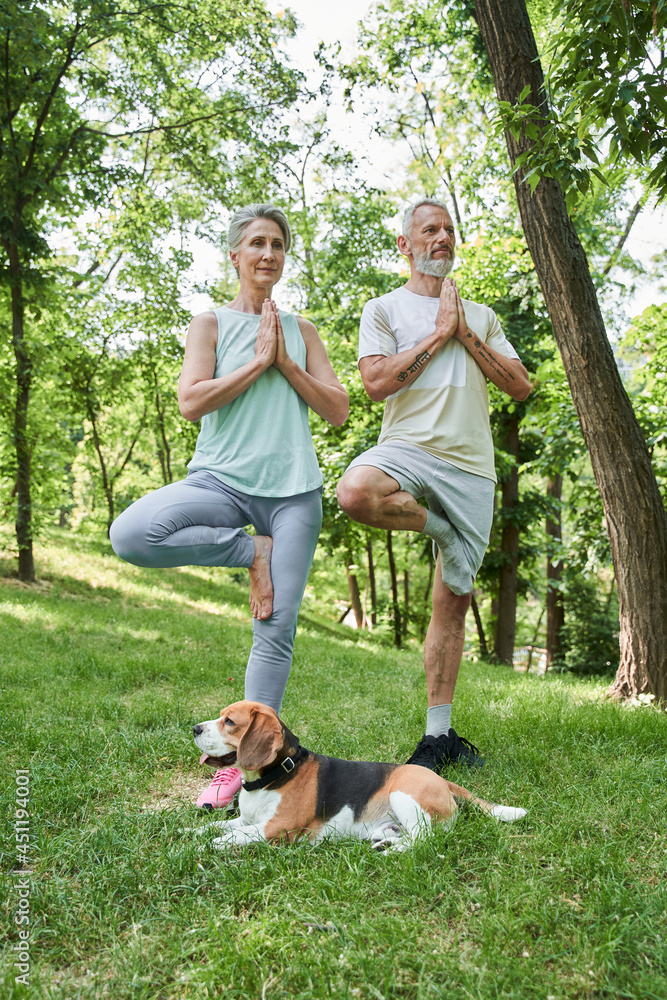 Obraz premium Couple making yoga exercises while standing at the one leg and looking aside seriously
