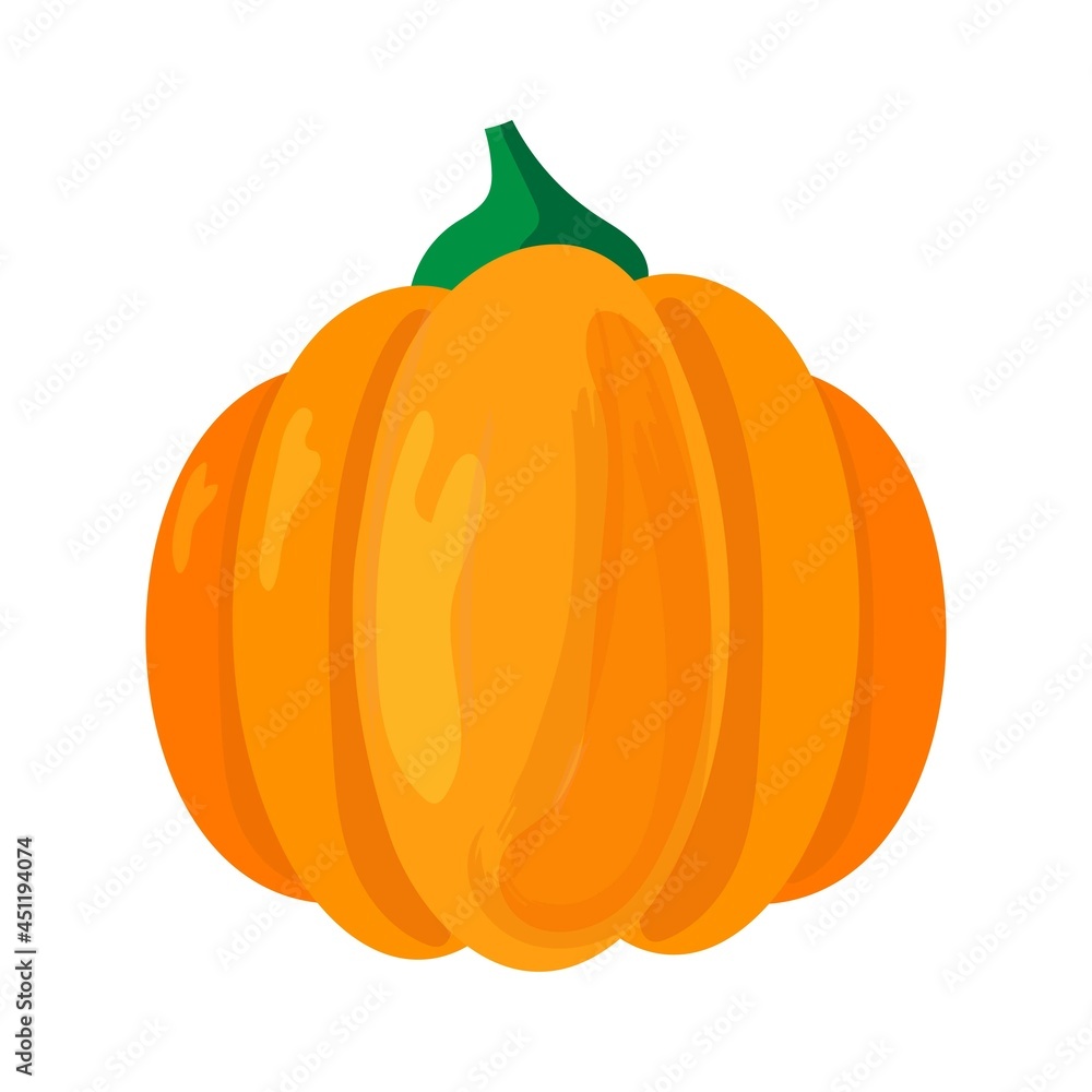 Obraz premium orange pumpkin isolated on a white background