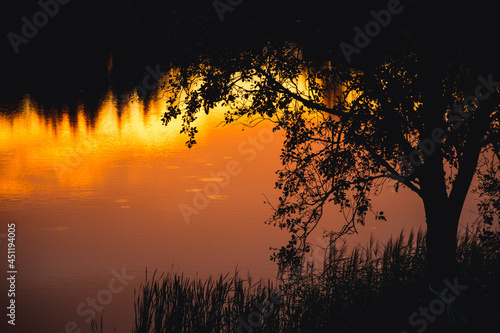 Beautiful orange and yellow sunset reflected on the water with silhouette of reeds, trees and forest