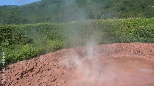 Mud boiler in the Valley of Geysers, Kamchatka. A round tank with cracked clay edges. Hot water boils, steam flies over the surface. There is lush green vegetation around. A sunny summer day