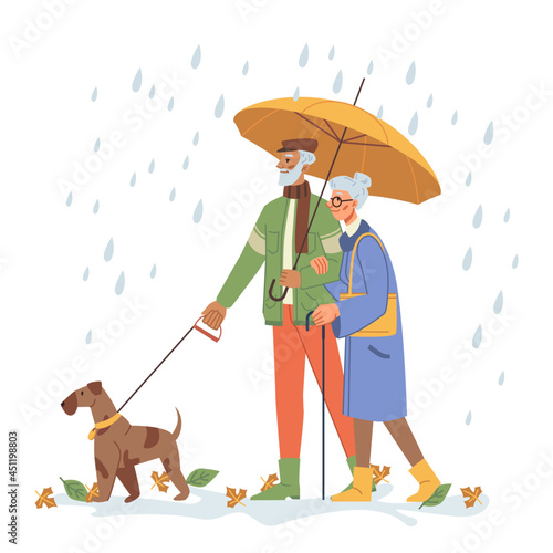 Grandfather and grandmother with umbrella walking dog outdoors. Senior people with pet on leash strolling under rainy autumn weather. Drops and leaves. Cartoon character in flat style vector