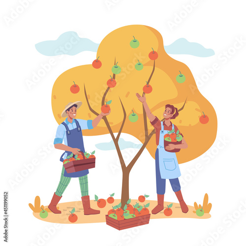 Man and woman gathering apples from tree in farm, farmers working on collecting ripe fruits. Agriculture and farming, harvesting season in home garden. Cartoon character in flat style vector