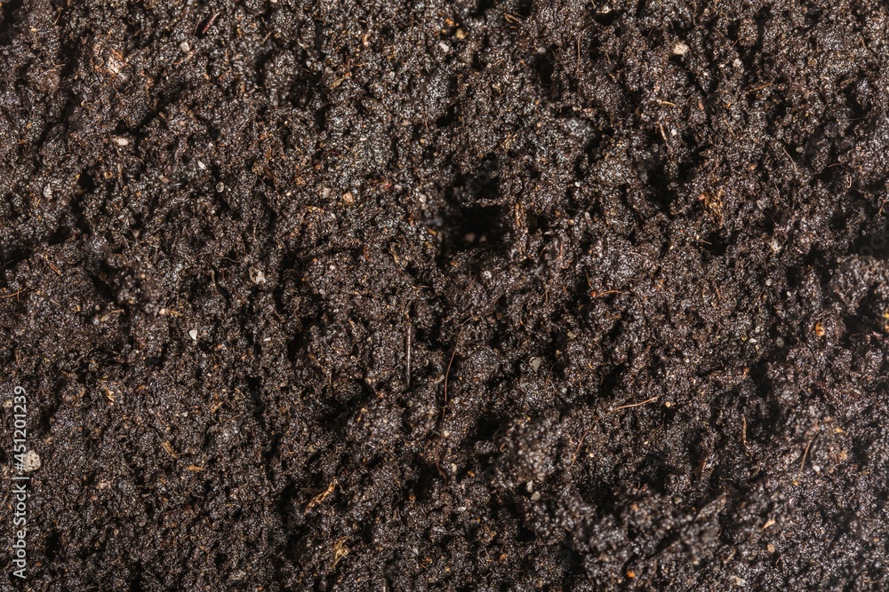 Dirt. Dirt.