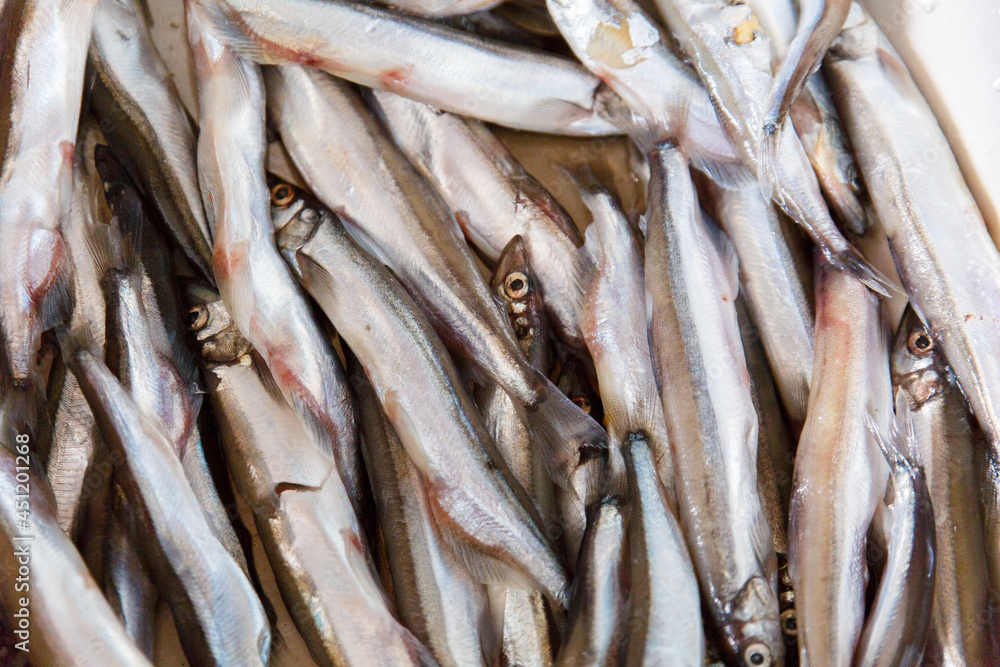 Fototapeta premium Fresh capelin fish close up. Small sea fish.