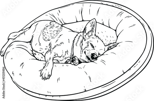 Dog sleeping black and white vector illustration 
