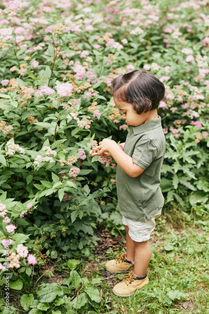 Full length high angle portrait of cute little boy looking at flowers in green park, copy space Full length high angle portrait of cute little boy looking at flowers in green park, copy space