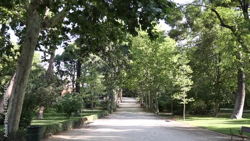 Path in Retiro Park, Madrid, Spain