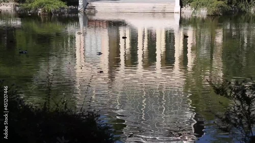 Water Reflection in Retiro Park, Madrid, Spain