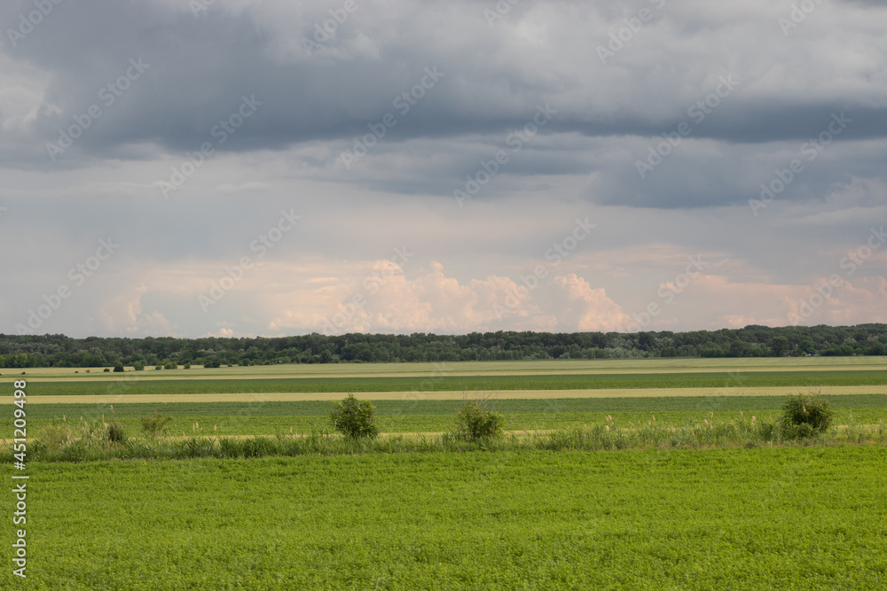 green field under stormy sky with lilac and pink clouds green field under stormy sky with lilac and pink clouds