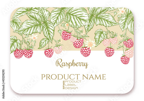 Raspberry. Ripe berries on branch. Template for product label, cosmetic packaging. Easy to edit. Graphic drawing, engraving style. Vector illustration..