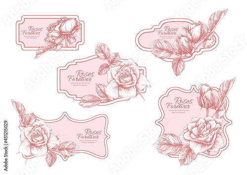 Set of labels, stickers for food products or cosmetics in engraving, vintage, old, retro shabby chic style.. Stock vector illustration.