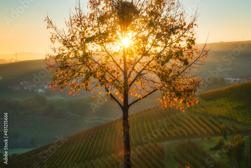 Langhe in autumn, Italy