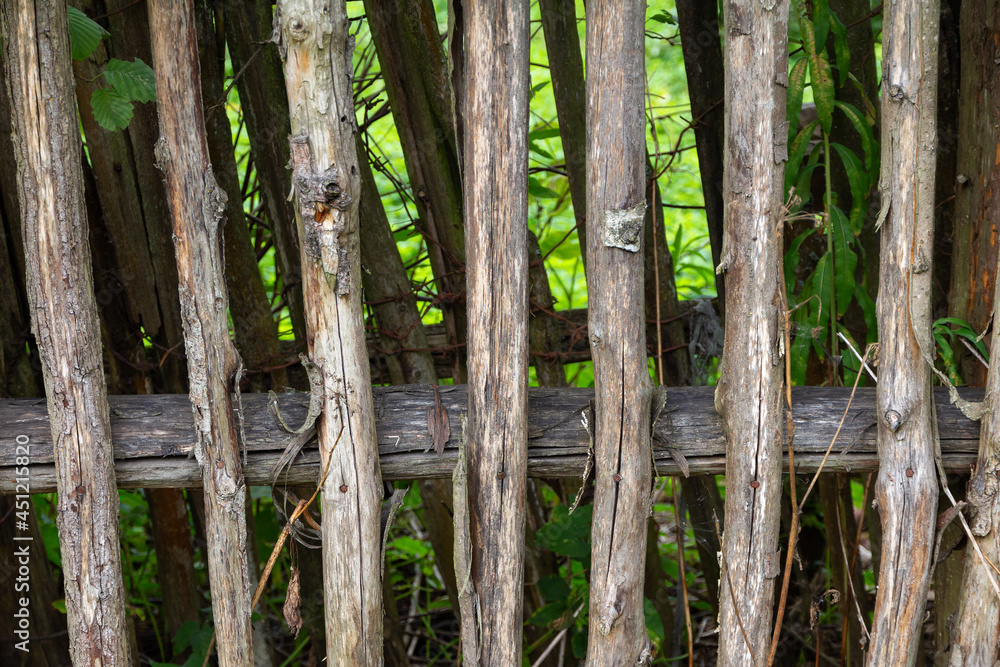 old wooden fence in the garden