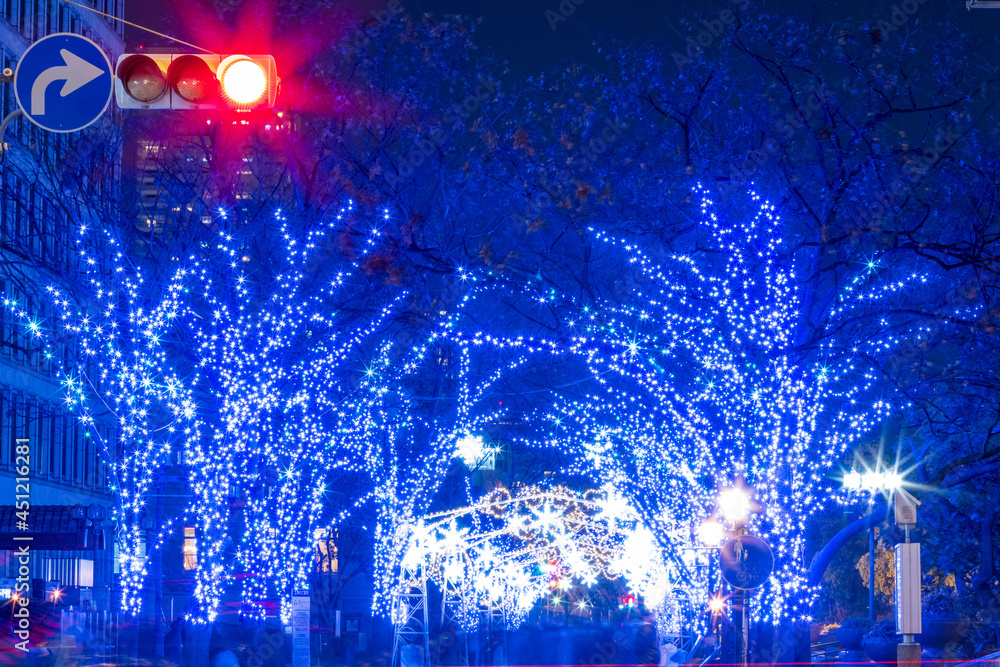 Obraz premium 大阪・淀屋橋のイルミネーション