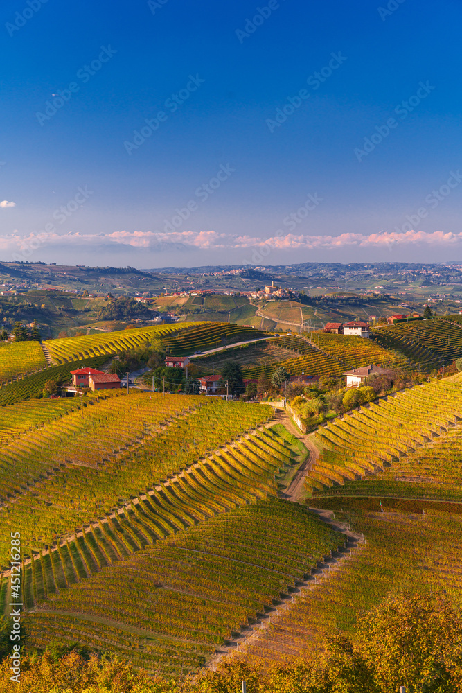 Panorama of the vineyards, in autumn, in the Langhe, Piedmont, Italy