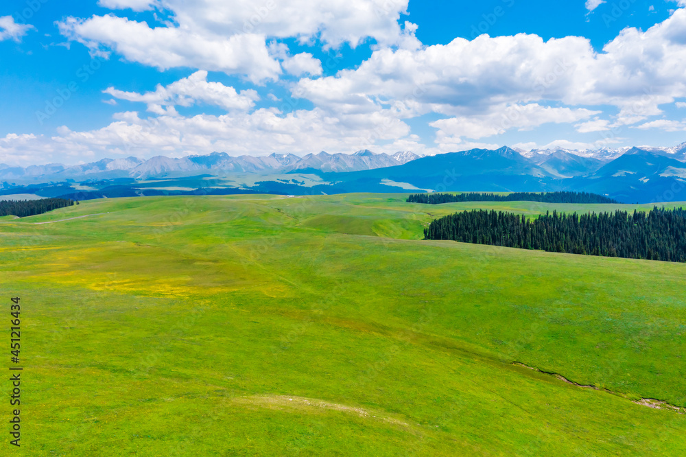Obraz premium Aerial View of mountain and green forest with grass in Kalajun grassland,Xinjiang,China.