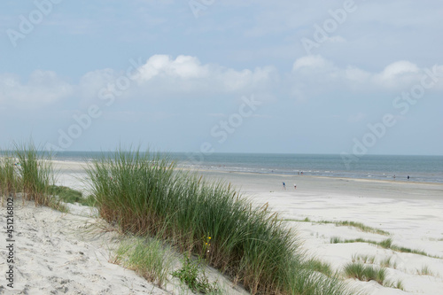 Fototapeta Naklejka Na Ścianę i Meble -  sand dunes on the beach