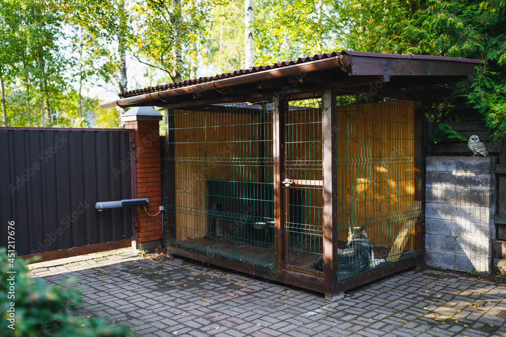 outdoor dog kennel enclosure on front yard