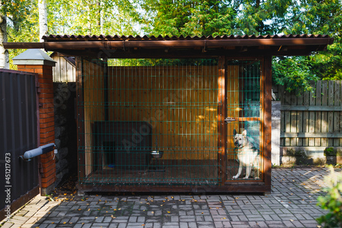 Cuadro en lienzo outdoor dog kennel enclosure on front yard