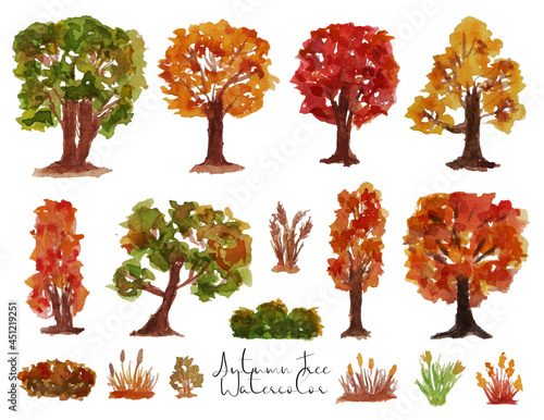 set of autumn trees