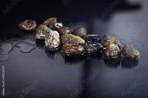 Canvas Print Row of black stone pebbles on water drops