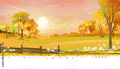 Autumn rural landscape farm fields and forest trees with orange sky sunset, Vector cartoon background fields harvest, Peaceful scenery of natural countryside with sunrise for fall season background